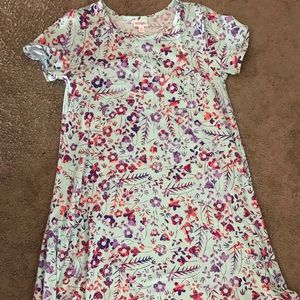 LuLaRoe Carly Dress